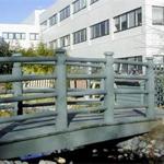 John Radcliffe Academic Centre behind wooden bridge in Japanese garden